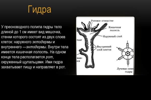 Актуальный домен кракена