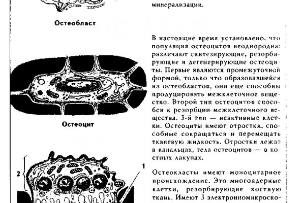 Сайт kraken в tor