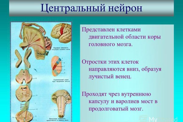 Кракен даркнет сайт